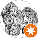 Zsolt Gábor Holló profile picture